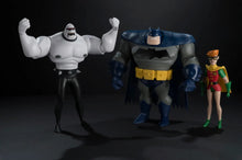 Load image into Gallery viewer, McFarlane Toys - DC Direct - New Batman Adventures 3pk - Batman, Mutant Leader, and Robin (Legends of The Dark Knight) Maple and Mangoes