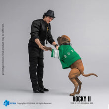 Load image into Gallery viewer, HIYA - Rocky II - Exquisite Super 1:12 - 6" Rocky Action Figure Maple and Mangoes