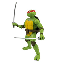 Load image into Gallery viewer, Teenage Mutant Ninja Turtles Best of Donatello, Raphael, Michaelangelo and Leonardo IDW Comic Book and 5-Inch BST AXN Action Figure Set of 4