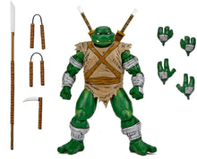 Load image into Gallery viewer, NECA - Teenage Mutant Ninja Turtles 7" Eastman and Laird's - Michelangelo The Wanderer - Best Buy Exclusive Maple and Mangoes