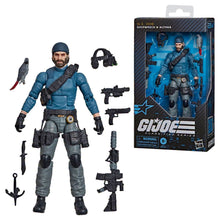 Load image into Gallery viewer, G.I. Joe Classified Shipwreck and Althea Maple and Mangoes