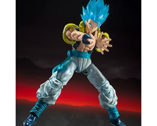 Load image into Gallery viewer, S.H.Figuarts SUPER SAIYAN GOD SUPER SAIYAN GOGETA -Exclusive Edition- SDCC Maple and Mangoes