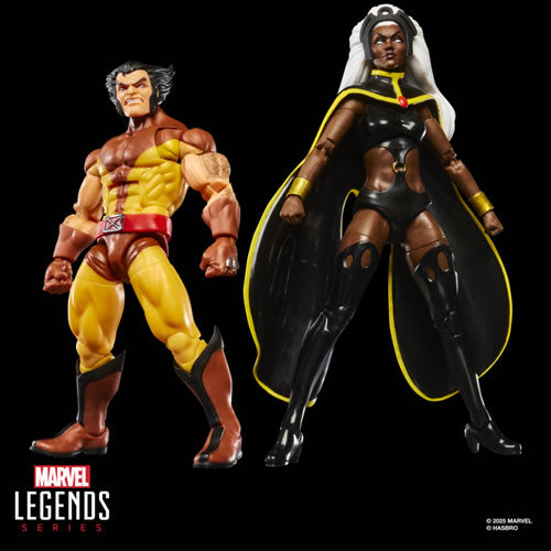 Marvel Legends 6