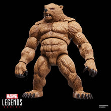 Load image into Gallery viewer, Marvel Legends 6" Figures - Spider-Man Comics - Marvel’s Grizzly Maple and Mangoes
