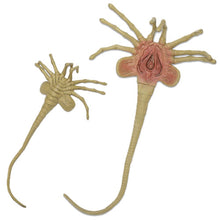 Load image into Gallery viewer, Aliens Facehugger 1:1 Scale Foam Life-Size Prop Replica Maple and Mangoes