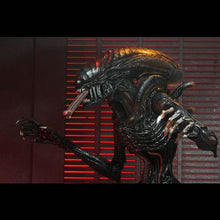 Load image into Gallery viewer, Alien: Romulus 7" Scale Figures - Ultimate Scorched Xenomorph Maple and Mangoes
