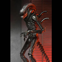 Load image into Gallery viewer, Alien: Romulus 7" Scale Figures - Ultimate Xenomorph XX121 Maple and Mangoes