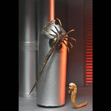 Load image into Gallery viewer, Alien: Romulus 7" Scale Figures - Ultimate Xenomorph XX121 Maple and Mangoes