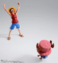 Load image into Gallery viewer, S.H.Figuarts Tony Tony Chopper -Drum Island- Maple and Mangoes