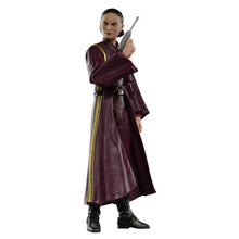 Load image into Gallery viewer, Star Wars The Black Series Padmé Amidala 6-Inch Action Figure Maple and Mangoes