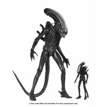 Load image into Gallery viewer, Alien Big Chap 1:4 Scale Action Figure Maple and Mangoes