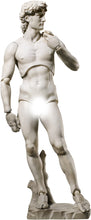 Load image into Gallery viewer, figma David (Michelangelo) (Reissue) Maple and Mangoes