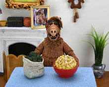 Load image into Gallery viewer, NECA - ALF 7" Scale Figures - Ultimate Alf Maple and Mangoes