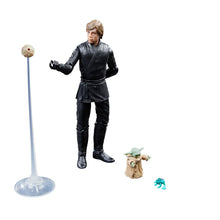 Load image into Gallery viewer, Star Wars The Black Series Luke Skywalker & Grogu 6-Inch Action Figures Maple and Mangoes