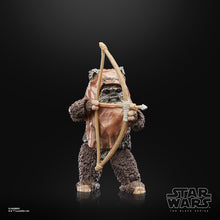 Load image into Gallery viewer, Star Wars The Black Series Return of the Jedi 40th Anniversary 6-Inch Wicket the Ewok Action Figure Maple and Mangoes