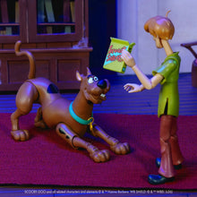 Load image into Gallery viewer, Scooby-Doo! Wave 2 Scooby-Doo 1:12 Scale Action Figure Maple and Mangoes
