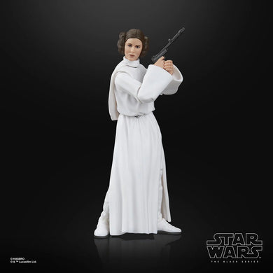 Star Wars The Black Series Princess Leia Organa 6-Inch Action Figure Maple and Mangoes