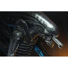 Load image into Gallery viewer, Alien Big Chap 1:4 Scale Action Figure Maple and Mangoes
