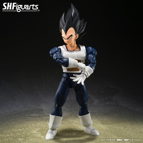  S.H.Figuarts Vegeta -Old Battle Suit- Dragon Ball Z Action Figure Maple and Mangoes