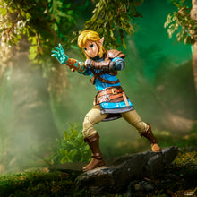 Load image into Gallery viewer, The Legend of Zelda Heroes of Hyrule Tears of the Kingdom Link 6-Inch Action Figure Maple and Mangoes
