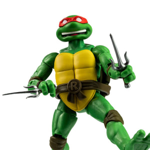 Teenage Mutant Ninja Turtles Best of Donatello, Raphael, Michaelangelo and Leonardo IDW Comic Book and 5-Inch BST AXN Action Figure Set of 4