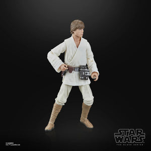 Star Wars The Black Series Luke Skywalker 6 Inch Action Figure Maple and Mangoes