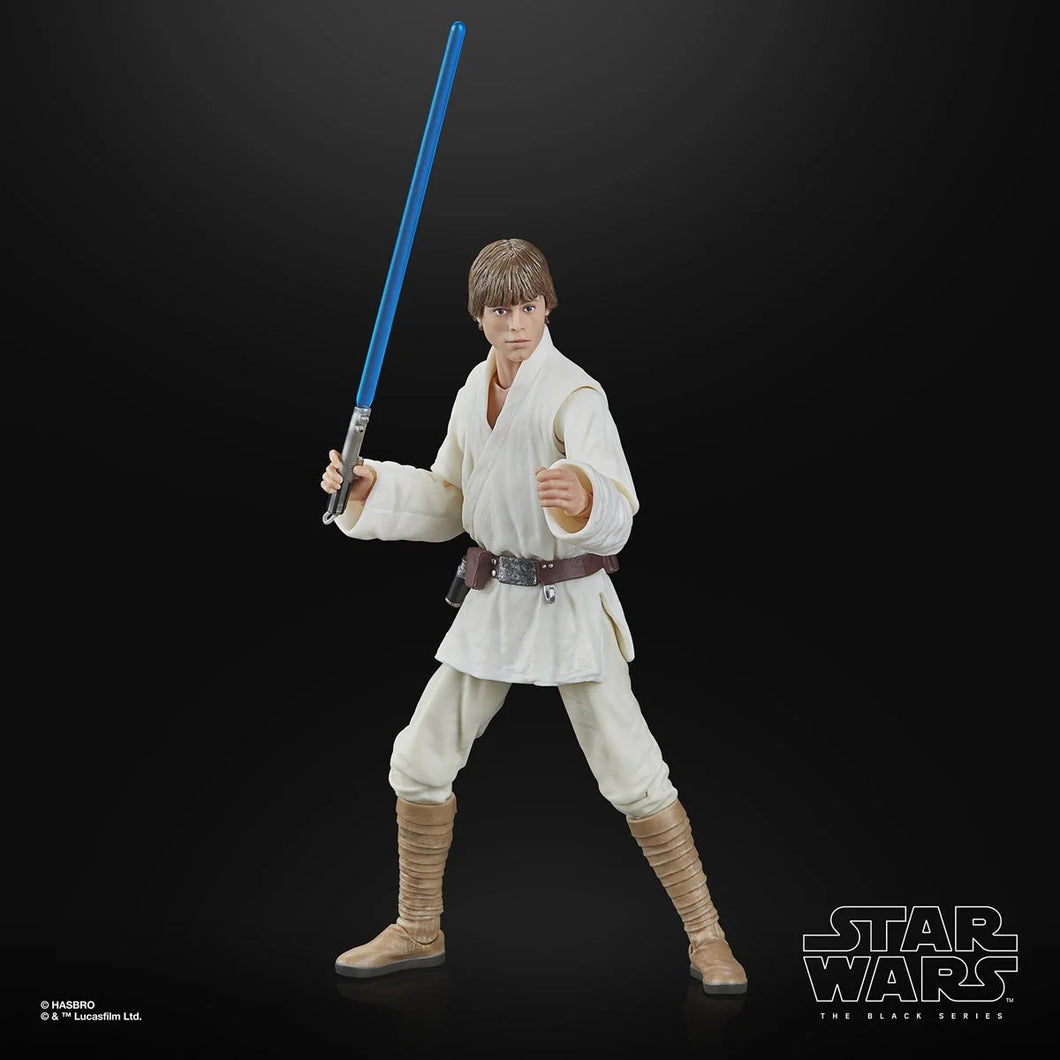 Star Wars The Black Series Luke Skywalker 6 Inch Action Figure Maple and Mangoes