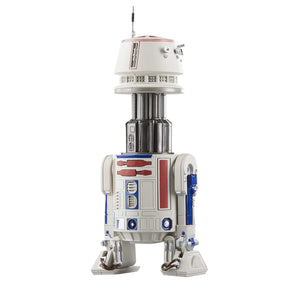 Star Wars The Black Series R5-D4 6-Inch Action Figure Maple and Mangoes