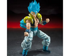 S.H.Figuarts SUPER SAIYAN GOD SUPER SAIYAN GOGETA -Exclusive Edition- SDCC Maple and Mangoes