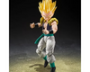 S.H.Figuarts SUPER SAIYAN GOTENKS -Exclusive Edition- SDCC Maple and Mangoes