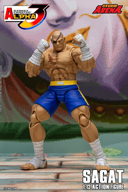 1/12 Street Fighter ZERO3 Action Figure Sagat Maple and Mangoes