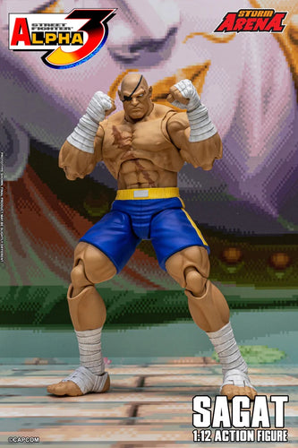 1/12 Street Fighter ZERO3 Action Figure Sagat Maple and Mangoes