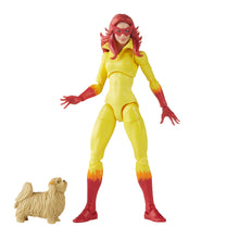 Load image into Gallery viewer, Marvel Legends Series Spider-Man and His Amazing Friends Exclusive Maple and Mangoes 
