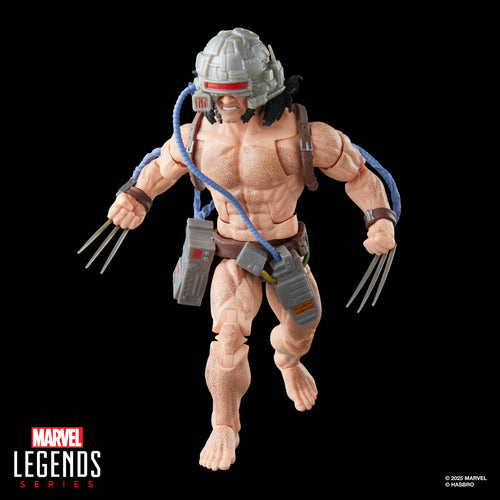 Marvel Legends Series Wolverine (Weapon X), X-Men Action Figure Maple and Mangoes