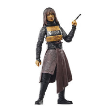 Load image into Gallery viewer, Star Wars Figures - 6&quot; The Black Series - The Acolyte - Mae (Assassin) Maple and Mangoes
