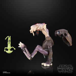 Star Wars The Black Series Dagan Gera (Star Wars Jedi: Survivor) 6-Inch Action Figure Maple and Mangoes