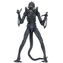 Load image into Gallery viewer, Aliens 7" Scale Figures - Ultimate Alien Warrior (Blue) Maple and Mangoes

