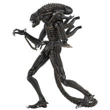 Load image into Gallery viewer, Aliens 7" Scale Figures - Ultimate Alien Warrior (Brown) Maple and Mangoes
