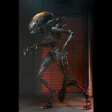 Load image into Gallery viewer, Alien: Romulus 7&quot; Scale Figures - Ultimate Scorched Xenomorph Maple and Mangoes
