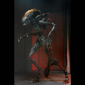 Alien: Romulus 7" Scale Figures - Ultimate Scorched Xenomorph Maple and Mangoes