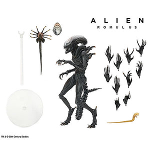 Alien: Romulus 7" Scale Figures - Ultimate Scorched Xenomorph Maple and Mangoes