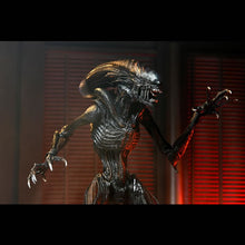 Load image into Gallery viewer, Alien: Romulus 7&quot; Scale Figures - Ultimate Scorched Xenomorph Maple and Mangoes
