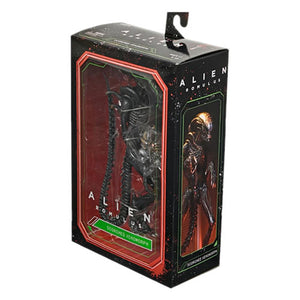 Alien: Romulus 7" Scale Figures - Ultimate Scorched Xenomorph Maple and Mangoes