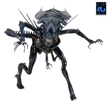 Load image into Gallery viewer, Aliens 7" Scale Figures - 40th Anniversary - Alien Queen Ultra Deluxe Boxed Figure Maple and Mangoes
