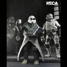 Load image into Gallery viewer, TMNT 7&quot; Scale Figures - TMNT x Universal Monsters - Black &amp; White Turtles 4-Pack Maple and Mangoes
