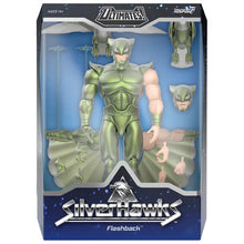 Load image into Gallery viewer, S7 ULTIMATES! Figures - SilverHawks - W07 - Flashback (Cartoon) Maple and Mangoes
