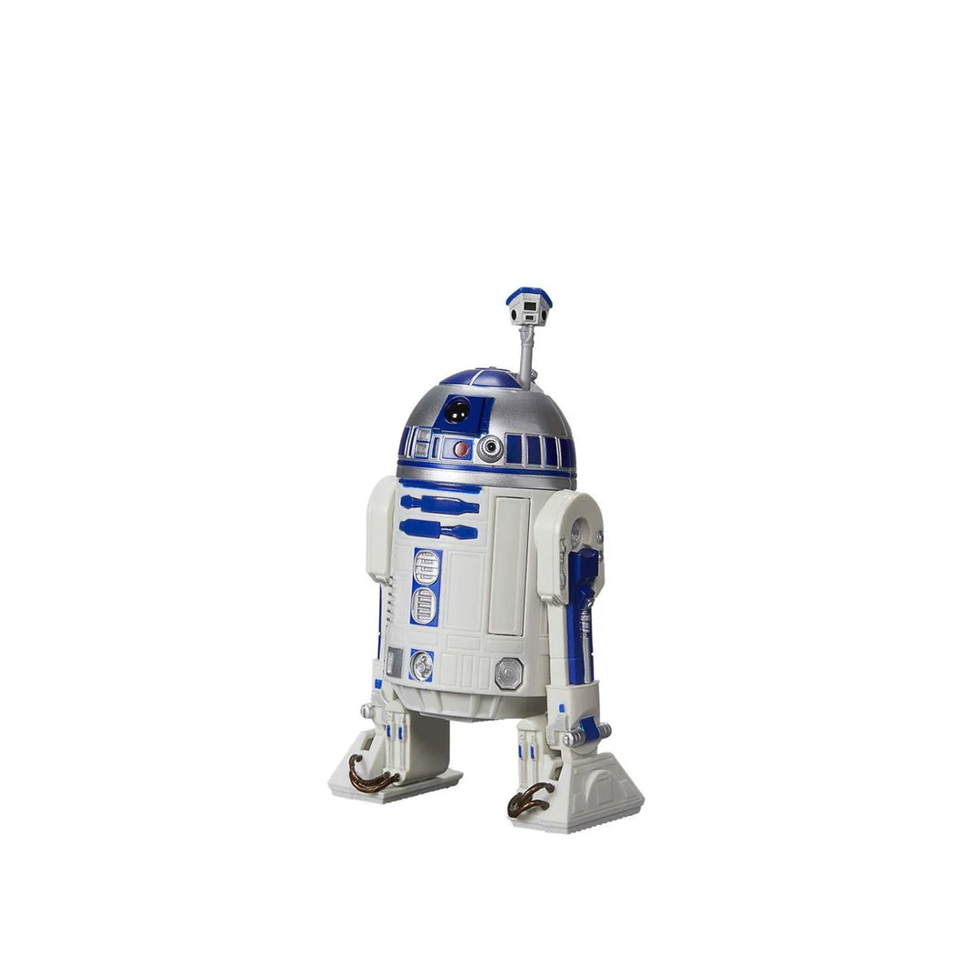 Star Wars The Black Series 6-Inch R2-D2 Action Figure Maple and Mangoes