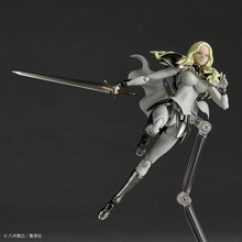 Load image into Gallery viewer, Amazing Yamaguchi/Revoltech: Claymore - Teresa of the Faint Smile (Limited + Bonus) [Kaiyodo] Maple and Mangoes
