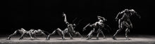Load image into Gallery viewer, Artificial Evolution Experiment: Ant - Insect Series (B006) [SEXYICE] Maple and Mangoes
