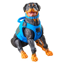 Load image into Gallery viewer, G.I. Joe Classified Series Mad Marauders Footloose, Mutt, &amp; Junkyard 6-Inch Action Figures Maple and Mangoes
